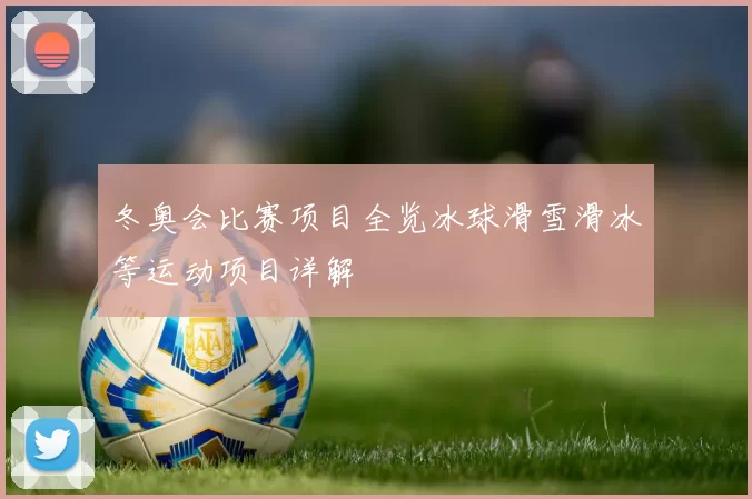 冬奥会比赛项目全览冰球滑雪滑冰等运动项目详解