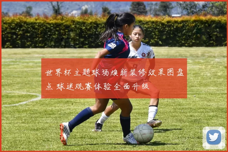 世界杯主题球场焕新装修效果图盘点 球迷观赛体验全面升级