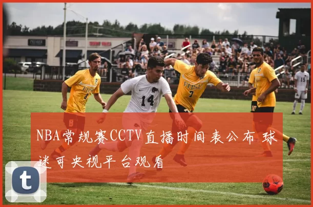 NBA常规赛CCTV直播时间表公布 球迷可央视平台观看
